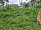 Mirigama - Hapugahage Watta 12.5 Perches of Land for Sale