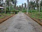 Mirigama - Hapugahage Watta 12.5 Perches of Land for Sale