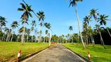 Mirigama Indiparape Land for Sale..