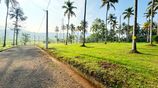 Mirigama Indiparape Land for Sale..