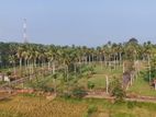 Mirigama Indiparape Land for Sale