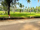 Mirigama Indiparape Land for Sale