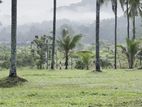 Mirigama Indiparape Land for Sale