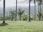 Mirigama Indiparape Land for Sale