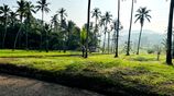 Mirigama Indiparape Land for Sale
