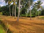 Mirigama නගරයට 3 km දුරින් ඉඩමක් විකිණිමට