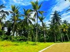 mirigama නිස්කලංක තැනකින් ඉඩමක්