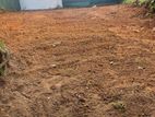 Mirihana Bodhiya Road 15 Perches of Land for Sale