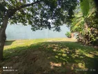 Mirissa Land for Rent