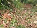 Mirissa Land Sale