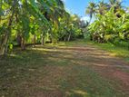 Mirissa Tal-Aramba-68 Perch Commercial Land Sale
