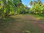Mirissa Tal-Aramba-68 Perch Commercial Land Sale