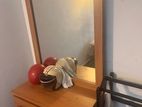 Mirror Cupboard