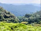 Misty Mountain View Land Sale Kandy Nillambe