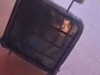 Mitsubishi 4DR5 J54 Jeep Recondition Passenger Seat