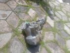 Mitsubishi Outlander Transfer Case