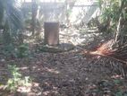 (ML112) 15 Perch Bare Land for Sale Near Kandy Road in Kurunegala