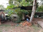 (ML179) 10 Perch Land for Sale in Thalawathugoda