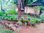 (ML187) 210 Perch Land for Sale in Horana