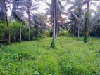 ⭕️ (ML187) 210 perch Land for Sale in Horana