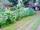 (ML187) 210 Perch Land for Sale in Horana