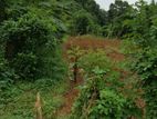 (ML210) 10.5 Perch Land for Sale in Pilawala, Kandy