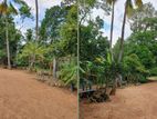 (ML236) 106 Perch Land For Sale In Kaduwela