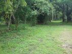 (ML254) 310 Perch Land for Sale in Wariyapola