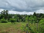 (ML258) 51.3 perch Land for Sale in Horana