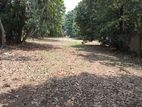 (ML313) 104 Perch Land for Sale in Battaramulla