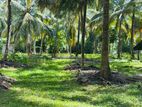 (ML432) 702 Perch Land with Partially Built House for Sale in Ibbagamuwa