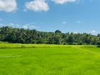 (ML432) 702 Perch Land with Partially Built House for Sale in Ibbagamuwa