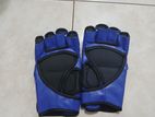 MMA Gloves (Everlast)