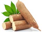 මඤ්ඤොක්කා (කිරි කවඩි) Cassava