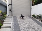 Modern 1stFloor House for Rent In Rajagiriya