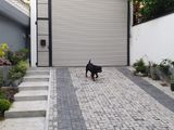 Modern 1stFloor House for Rent In Rajagiriya