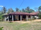 Modern 60 P House with Coconut Plants - Weerawila