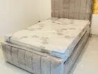 Modern Divan Beds 72x48"
