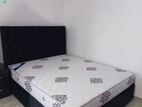 Modern Diwan Bed with Arpico Spring Mattress 6 by 5