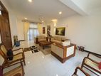 Modern Eco-Home with Rooftop Views Nugegoda