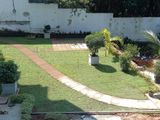 Modern Garden Designing