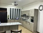 MODERN IMPORTED HIGH GLOSS PANTRY CUPBOARDS