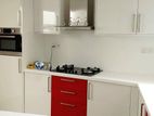 Modern Imported High Gloss pantry cupboards