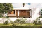 Modern New House for Sale in Kottawa