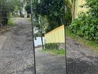 Modern Stand Mirror 171x50cm