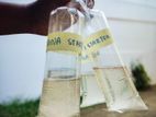 Moina Starter Culture ( Fish Food )