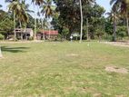 Molligoda Land for Sale