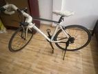 Momentum Racing Bicycle 24