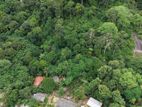 Monaragala : 35 perches Land for Sale at Rangiripauva