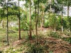 Monaragala Land for Sale